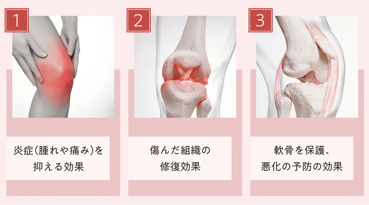 成長因子の3つの効果